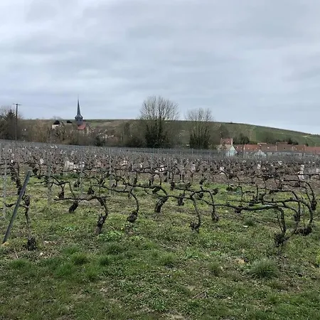 Le Petit Ecrin Champenois Étoges