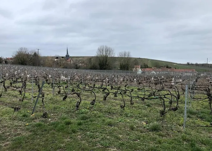 Le Petit Ecrin Champenois Étoges